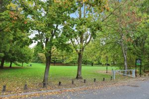 Photo 11- click for photo gallery